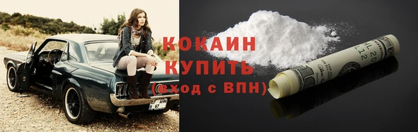 mdpv Богородицк
