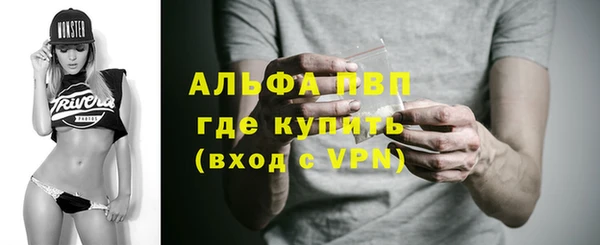 прущие грибы Богородск
