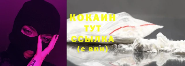 прущие грибы Богородск