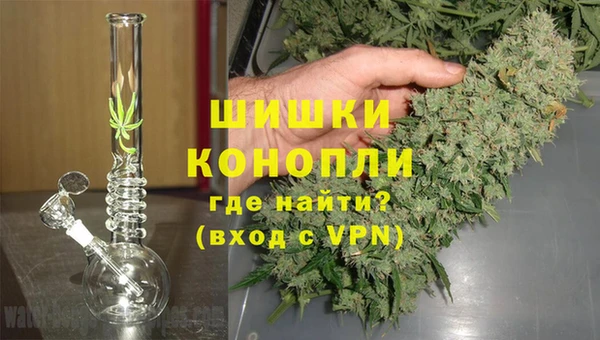 mdpv Богородицк