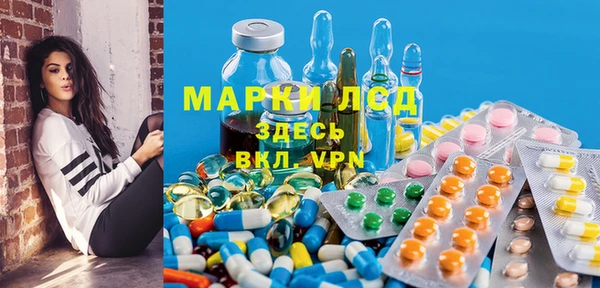 прущие грибы Богородск