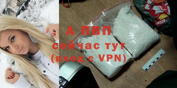 прущие грибы Богородск