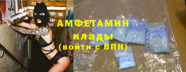 прущие грибы Богородск